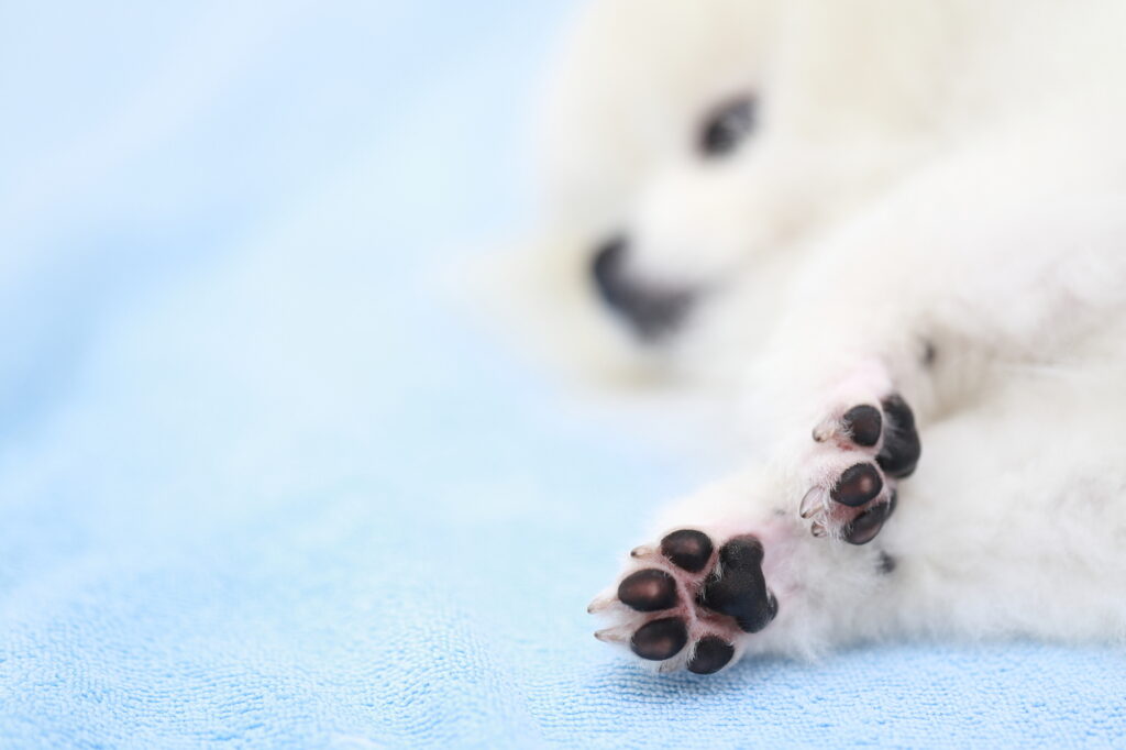 口臭の特徴ごとに考えられる病気
